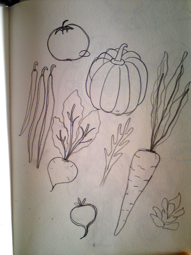 Little green fingers sketches for vegetable illustrations