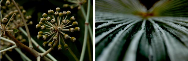 Autumn Impressions - photography Anna Kendler