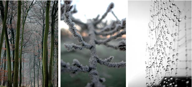 Autumn Impressions - photography Anna Kendler
