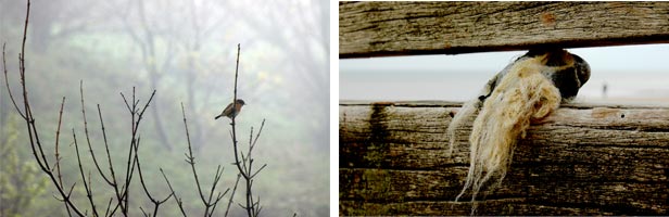 Along the coast - photography