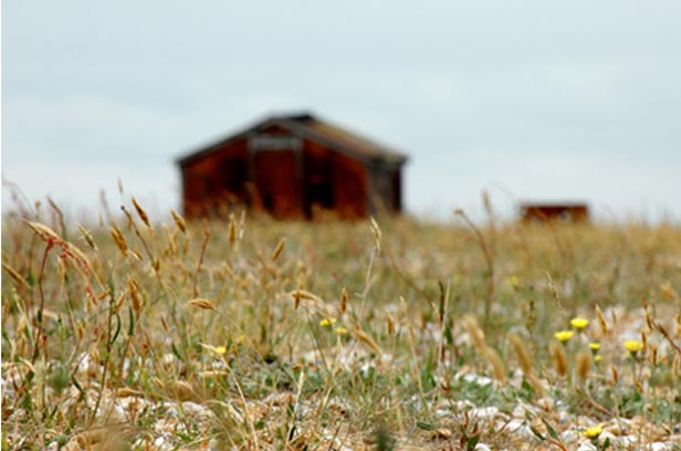 Along the coast - photography