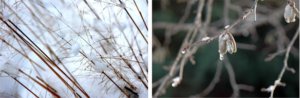 Winter wonderland - photography Anna Kendler