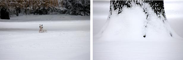 Winter wonderland - photography Anna Kendler
