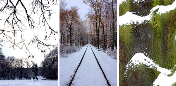Winter wonderland - photography Anna Kendler